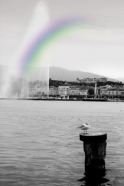 Geneve