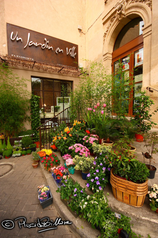 Un jardin en ville