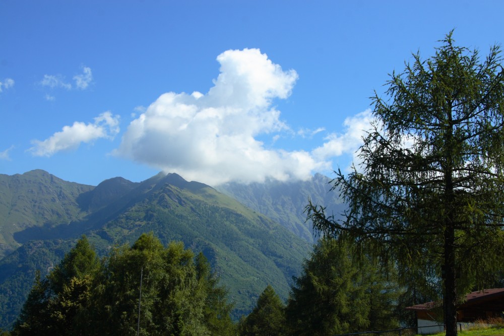 paesaggio 1