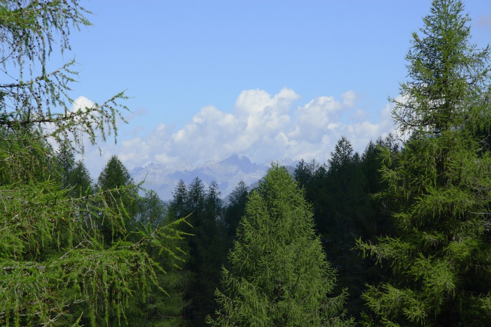 paesaggio 2
