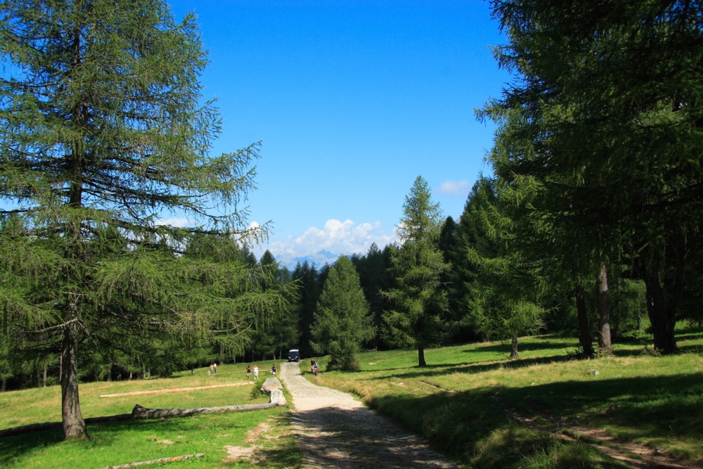 paesaggio 3