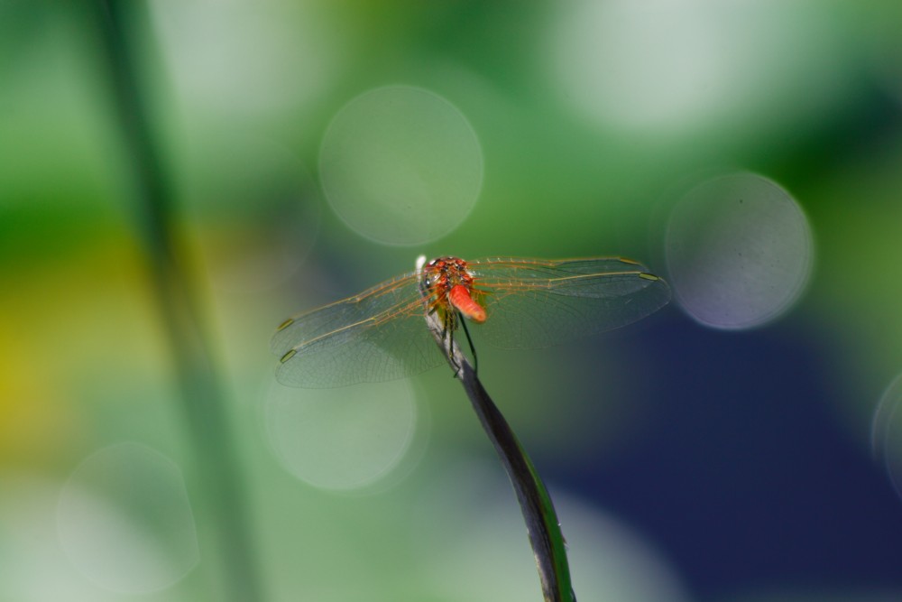 natura3