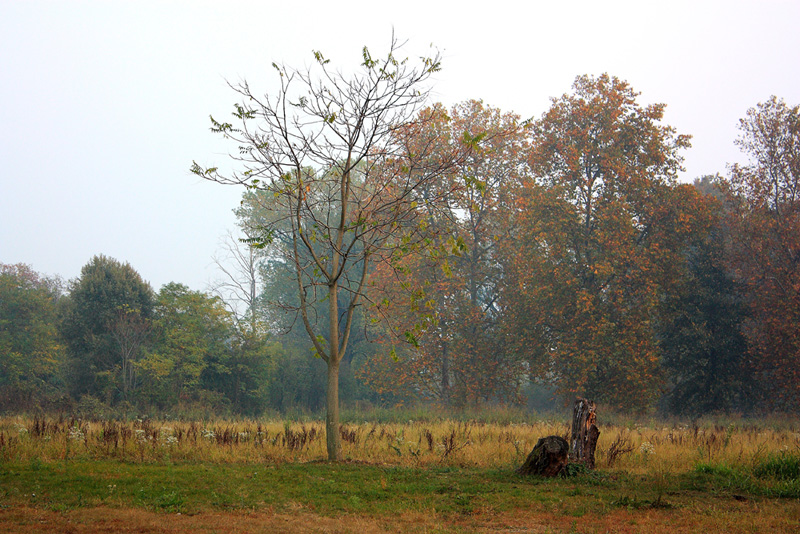 autunno