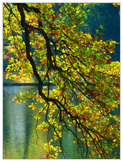 Autunno 2