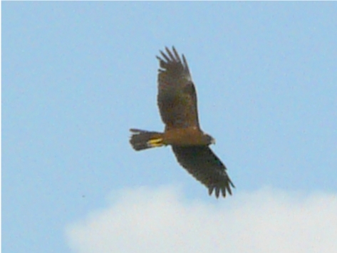19 aprile 2008
