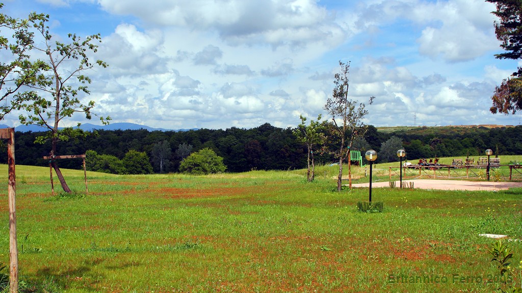 Effetto velivia