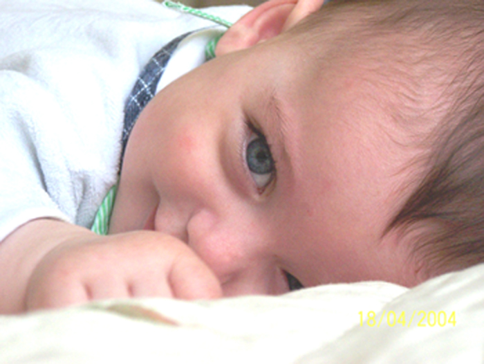 Enrico