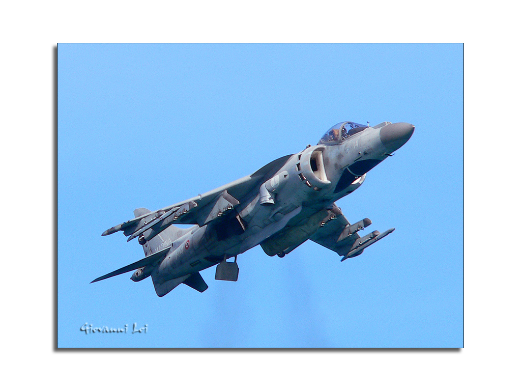 Harrier