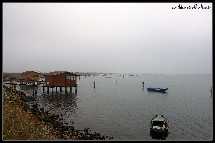 sul delta del po (2)