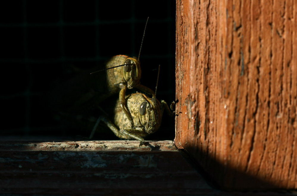 complice ........un raggio di sole