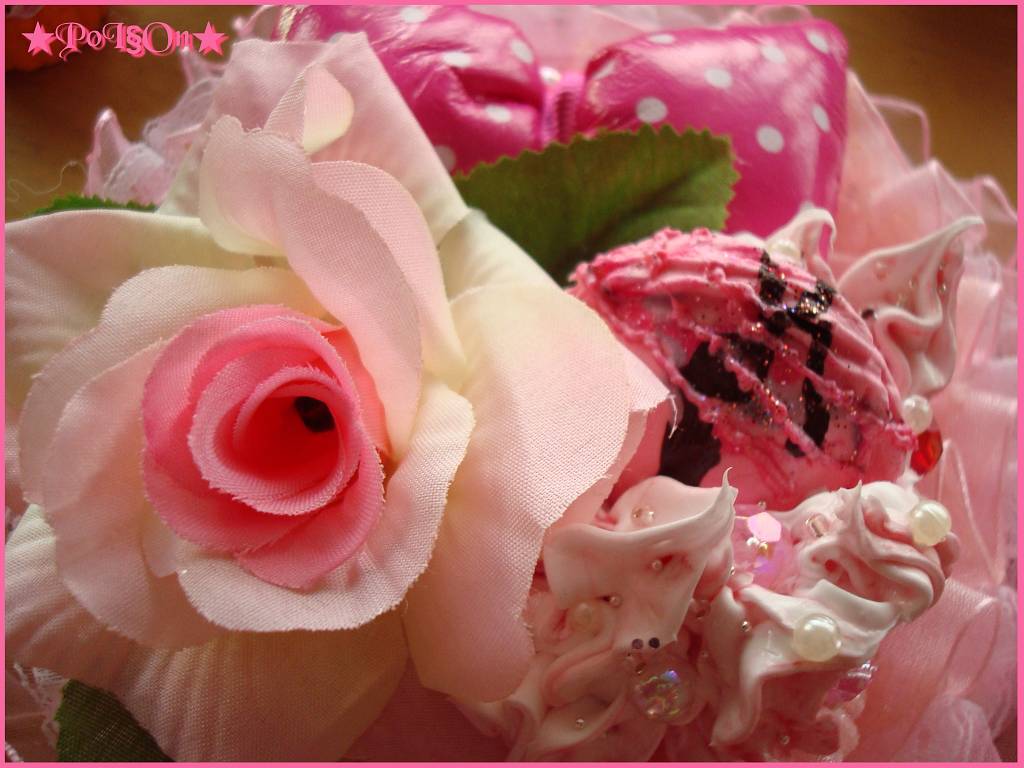 Rose Rosa