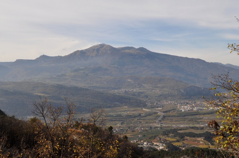 Rovereto