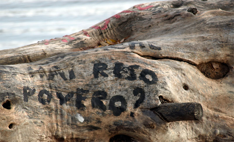 amore,perch mi...