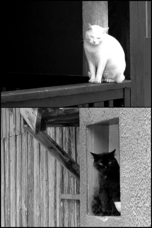 Bianco e nero