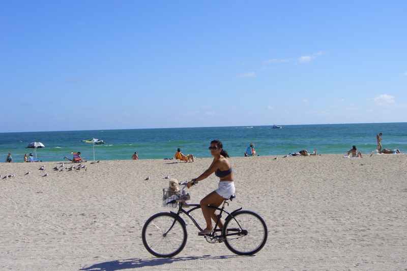 Passeggiare in bicicletta