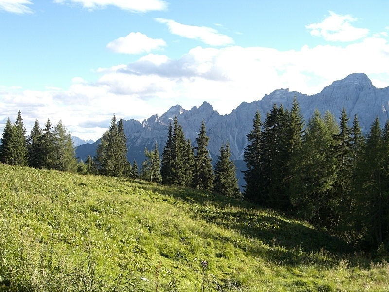 Dolomiti