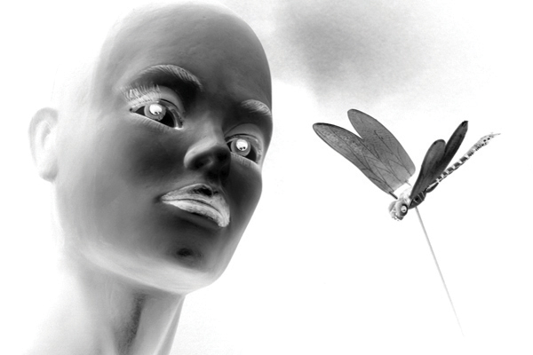 Octavia Project 14