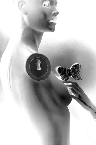 Octavia Project 6