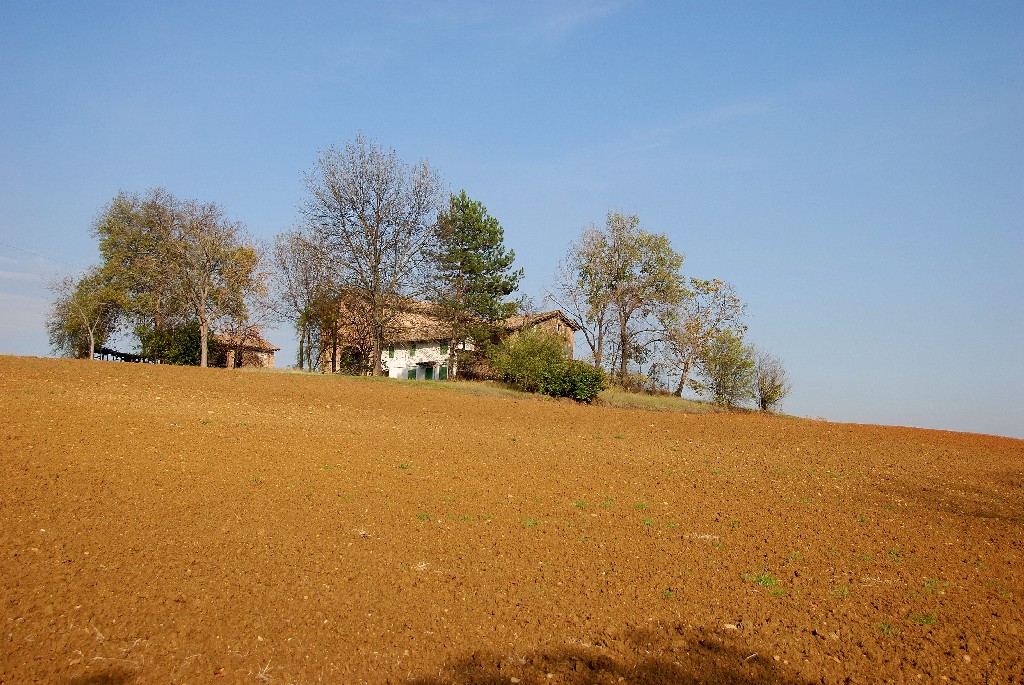 COLLINA