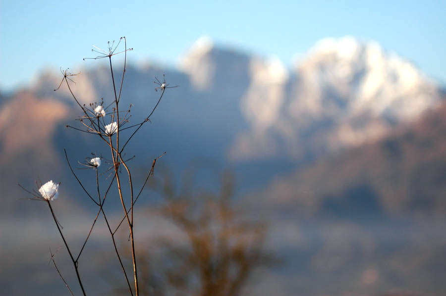 prima neve 2