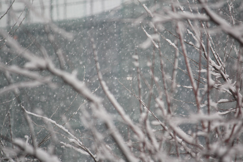 la prima neve
