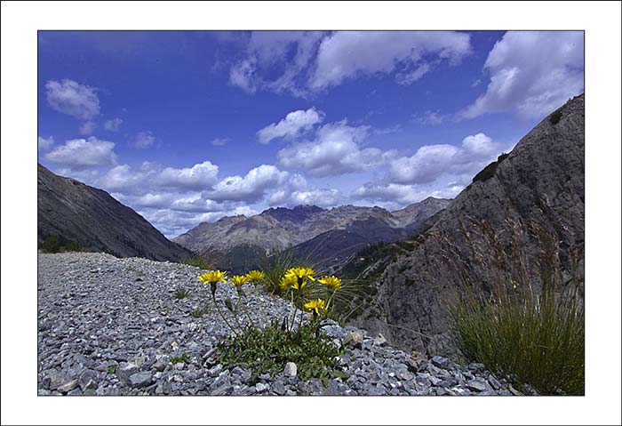 Alpe Trela 04