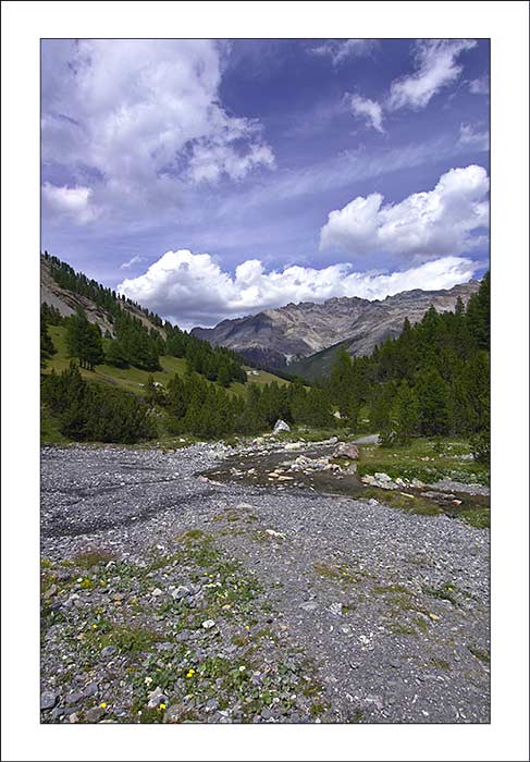 Alpe Trela 05