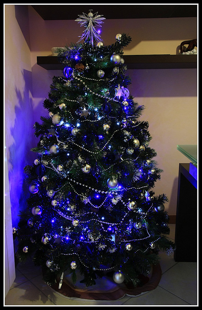 Albero 2008