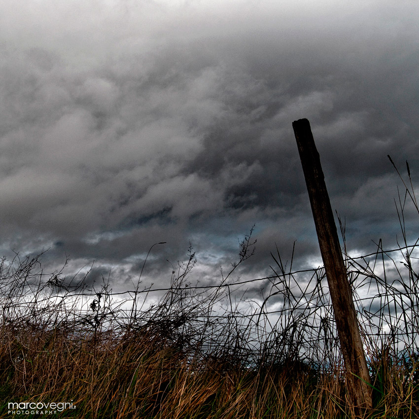 Temporale