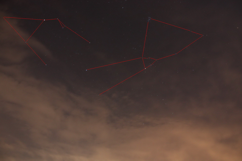 Auriga e Toro