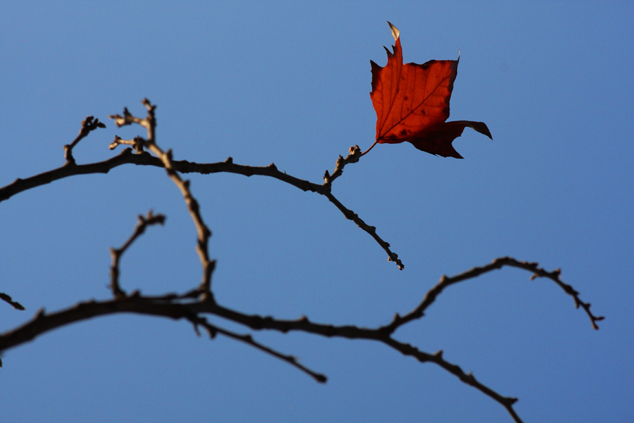 Autunno...