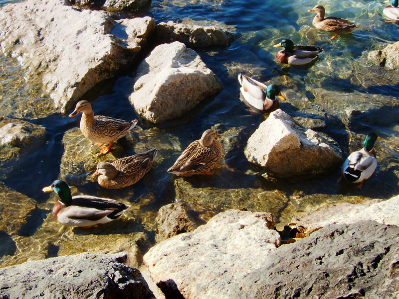 Lago di Garda