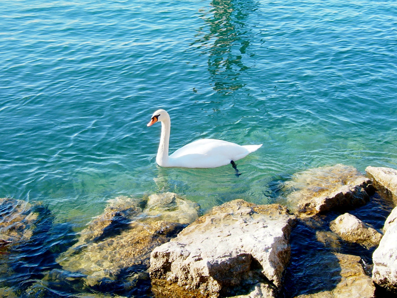 Lago di Garda