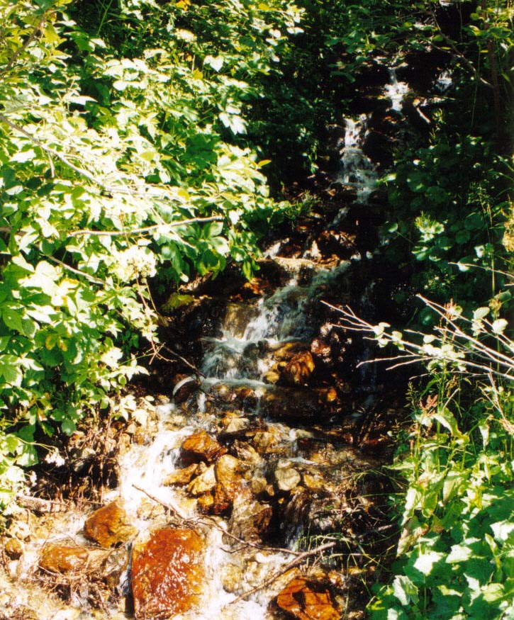 CASCATA
