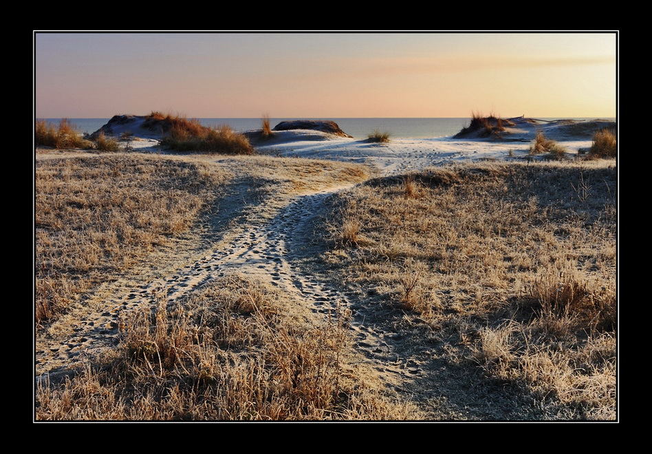 Dune