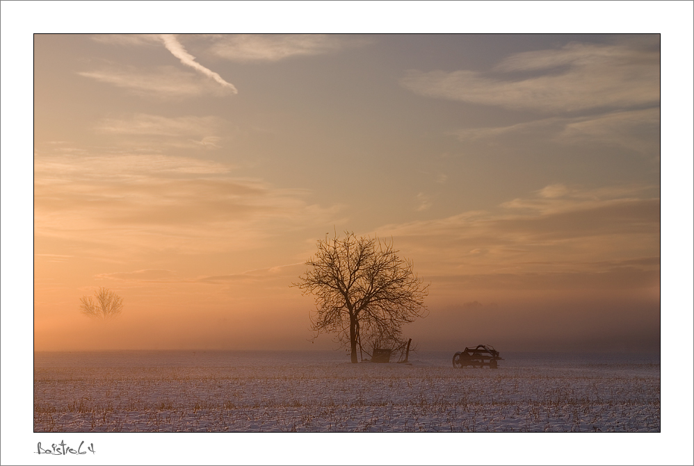 s.t. (di baistro64)