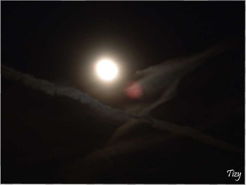 Scie...