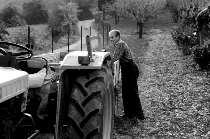 tributo alla vendemmia 04