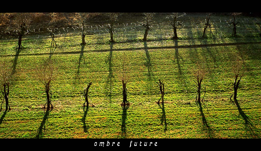 Ombre Future
