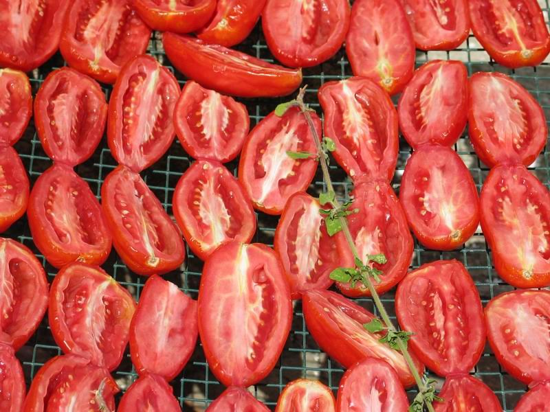 Pomodori