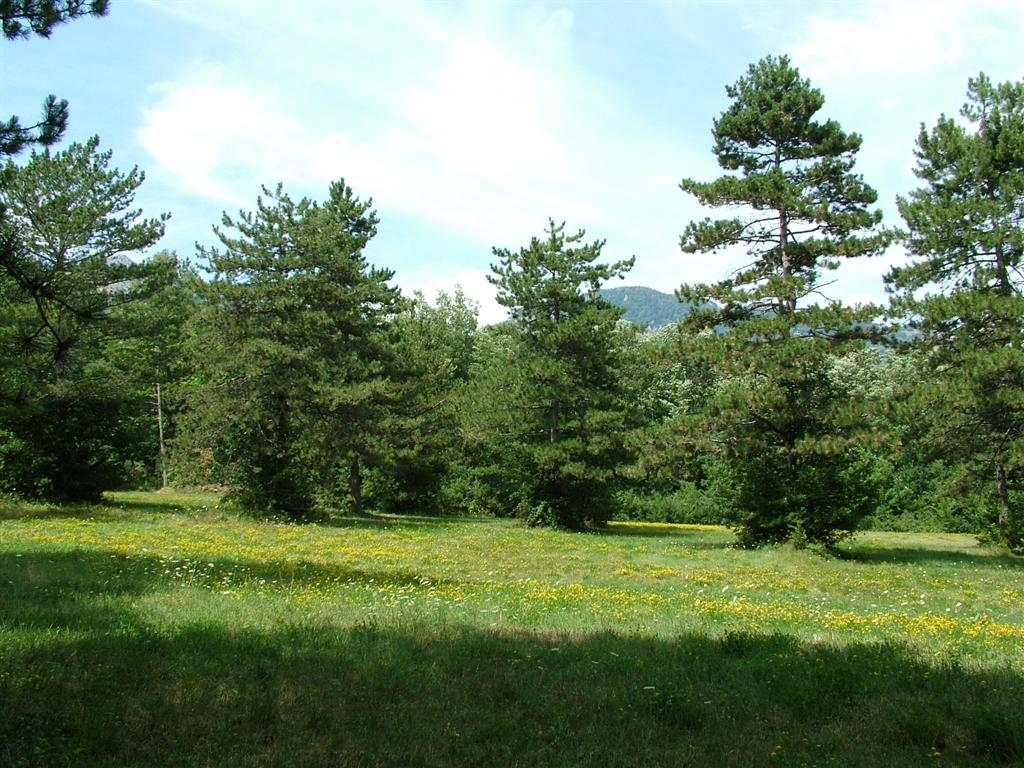 paesaggio