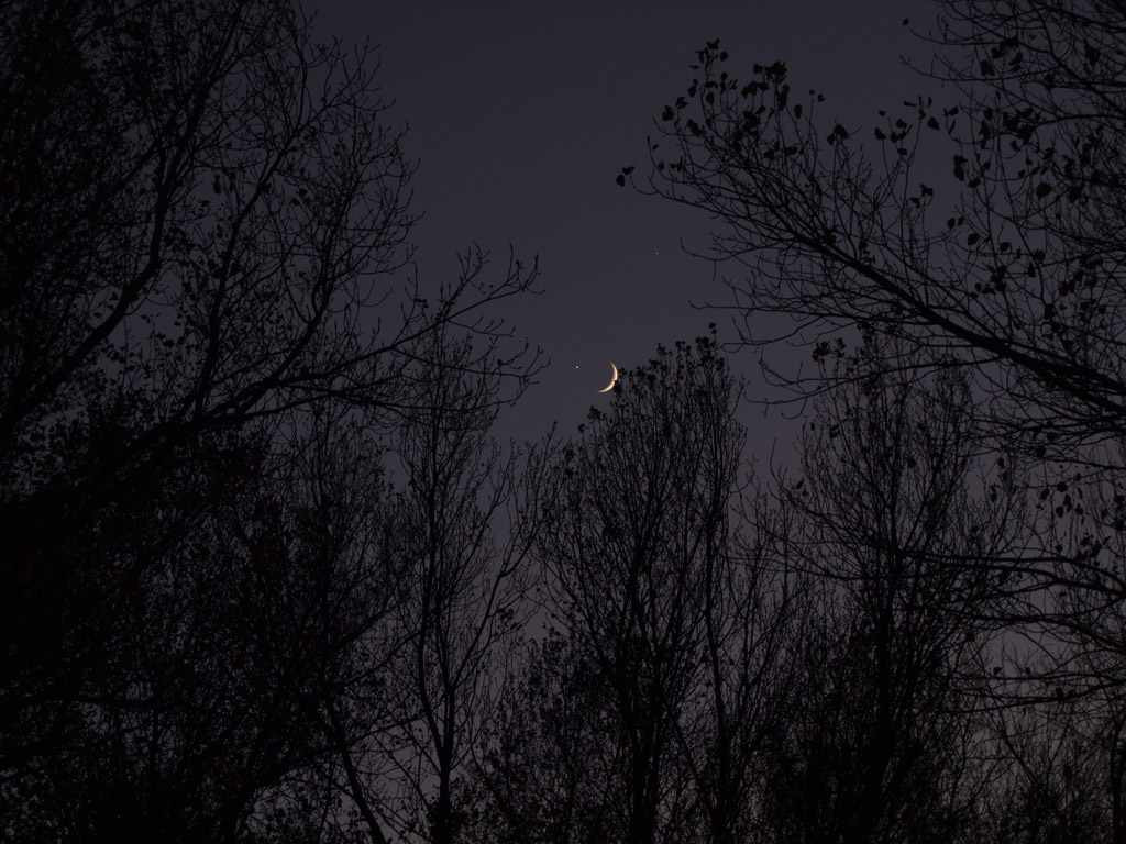 la notte