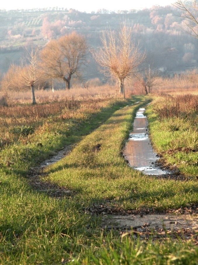 parallele