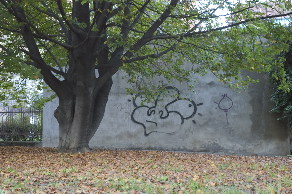 14 albero