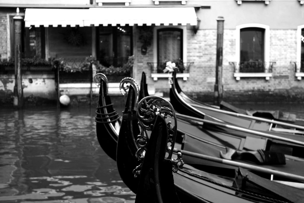 venezia