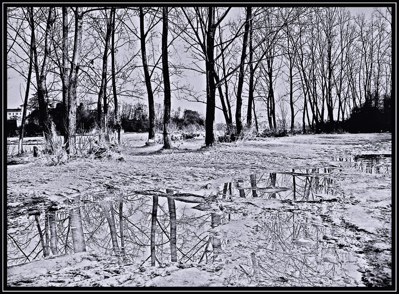 il Piave ....