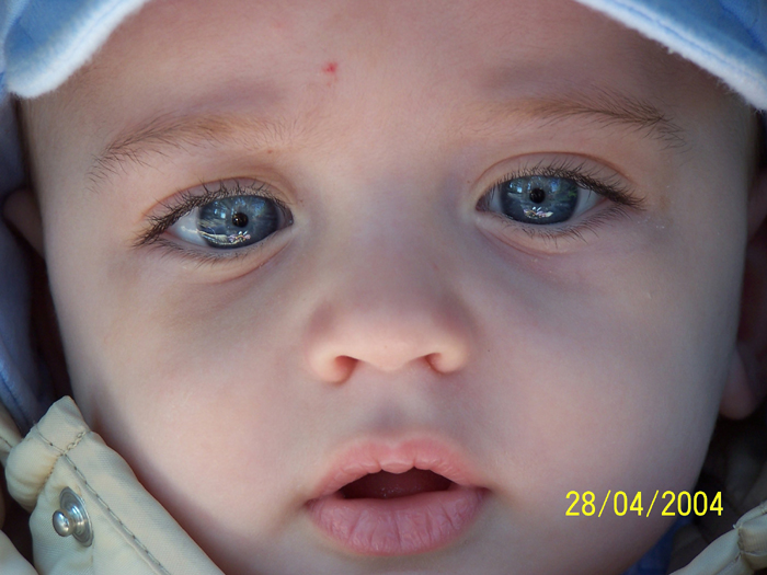 Enrico 2