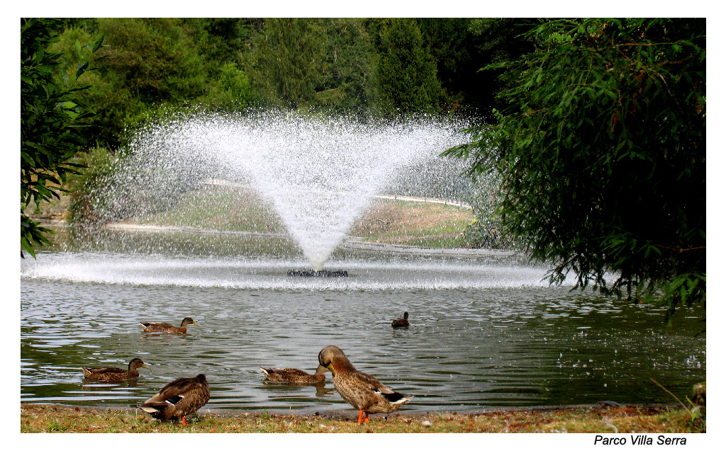 Parco di Villa Serra 2