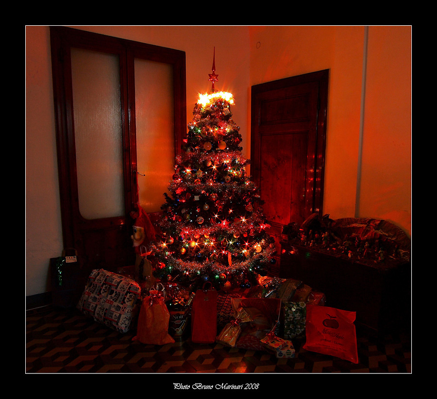 Il nostro Albero