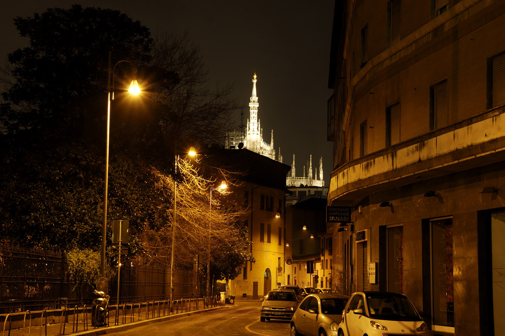 Guglie del Duomo